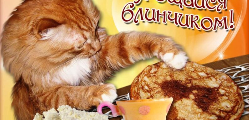 Открытки Масленица — подборка