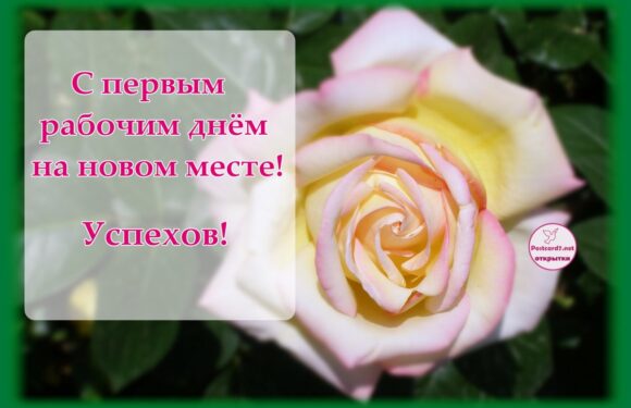 Открытки и поздравление с новой работой — подборка