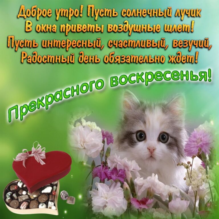 Поздравление с воскресеньем - хорошие открытки 44 открытки