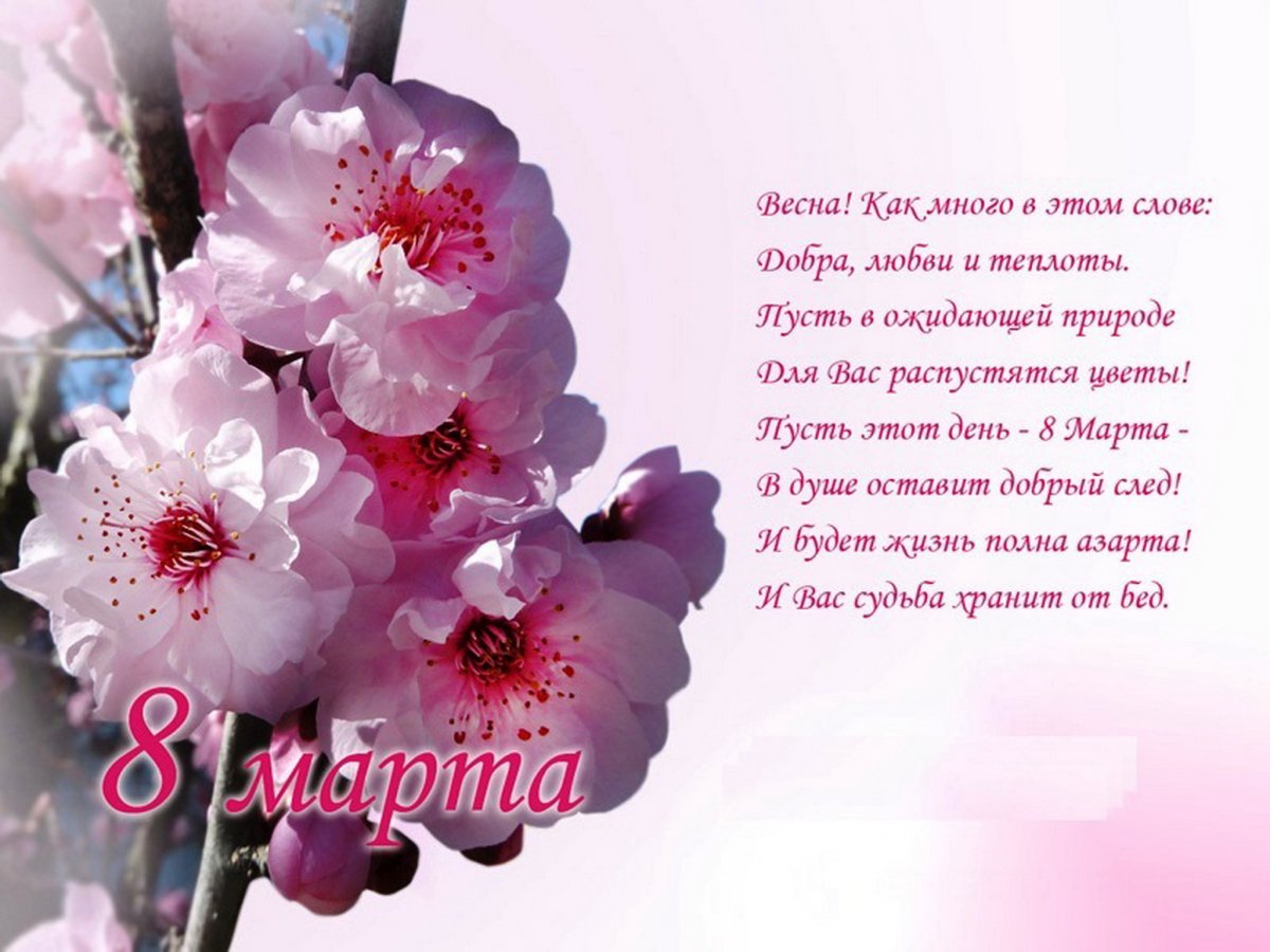 Прикольные открытки с днем 8 марта 18 открытки