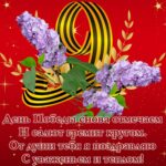 Поздравления с днем Победы 30 Вика Одинцова