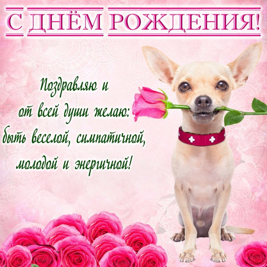 Открытки с днем рождения девушке 24 открытки