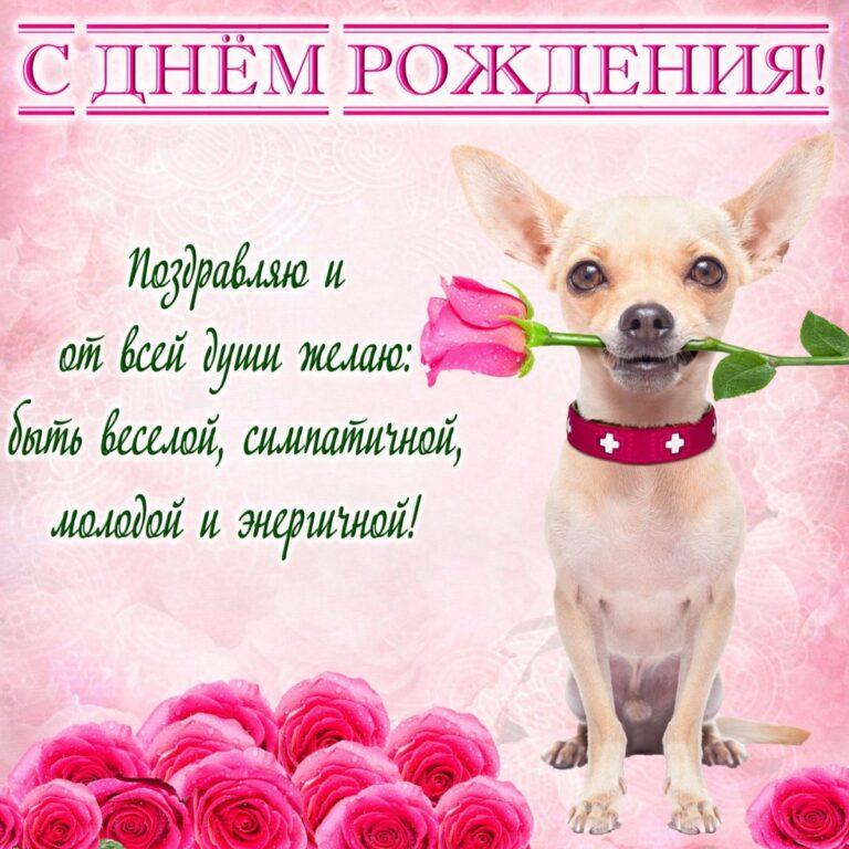 Открытки с днем рождения девушке 44 открытки