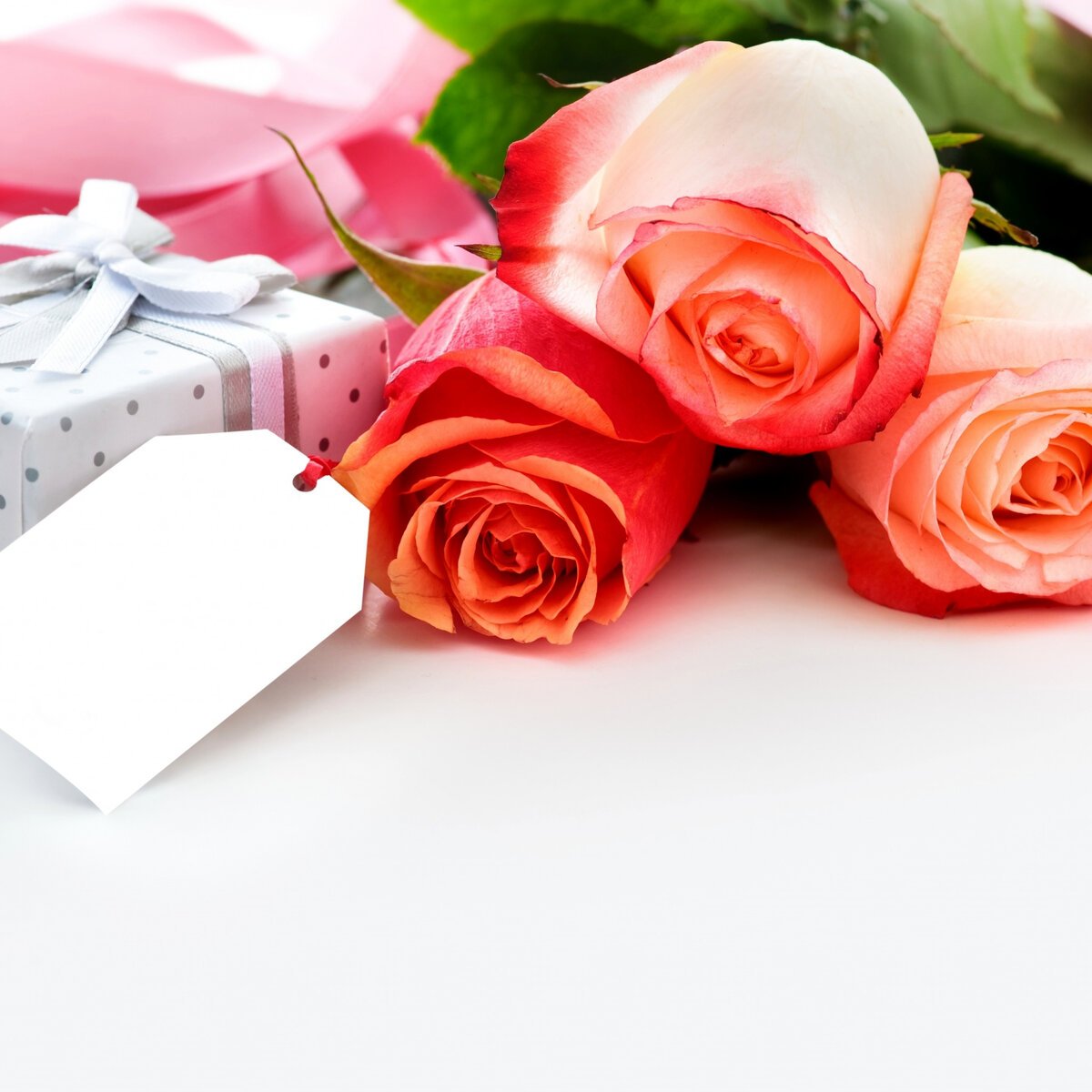 Открытки с днем рождения начальнику - поздравления женщине 14 открытки