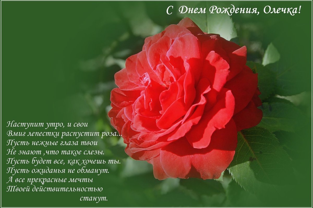 С днем рождения Ольга - подборка открыток 7 открытки