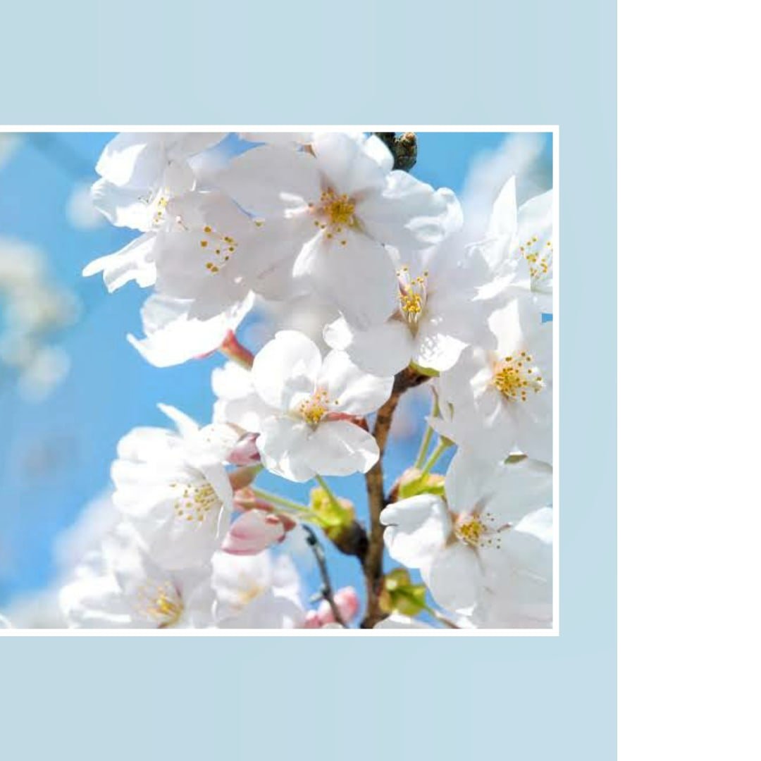 Православные открытки с днем рождения женщине 3 Православные открытки с днем рождения женщине 3 открытки