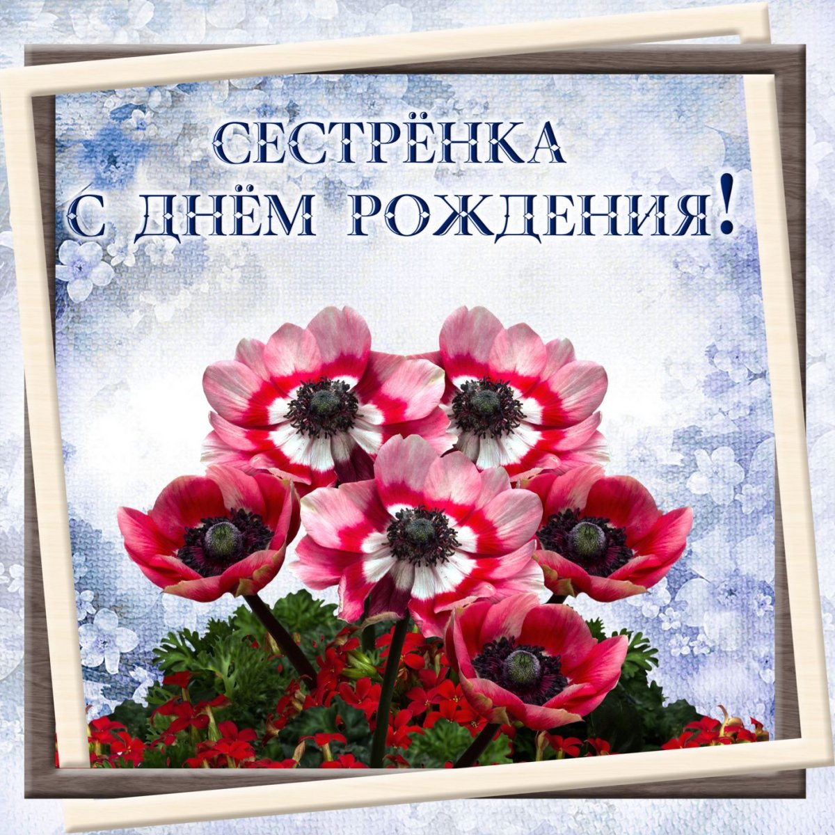 Поздравления - С днем рождения Анастасия 12 открытки