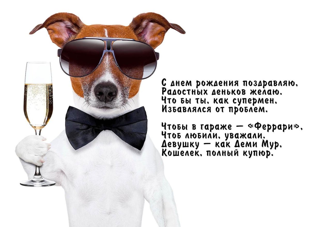 Смешные открытки на день рождения мужчине 19 открытки