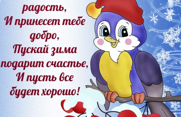 Прикольные зимние открытки и поздравления с пожеланиями