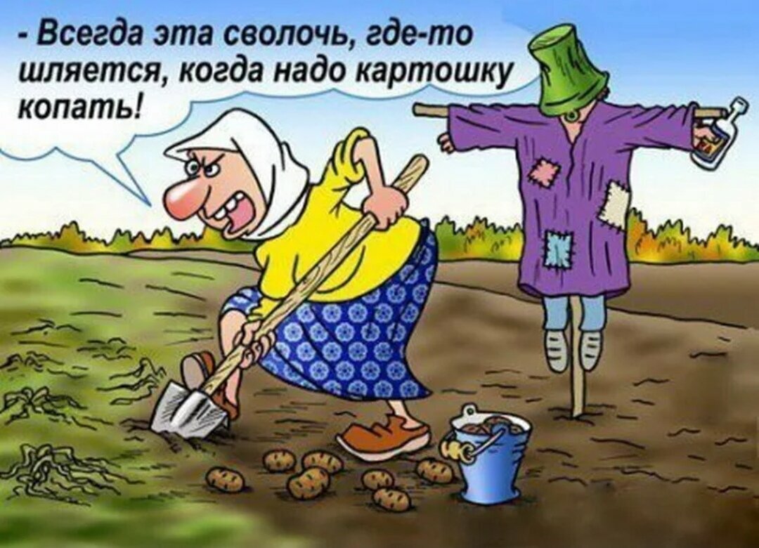 С днем дачника открытки и поздравления 17 открытки