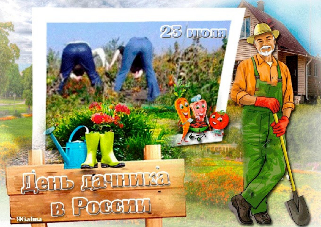 С днем дачника открытки и поздравления 24 открытки