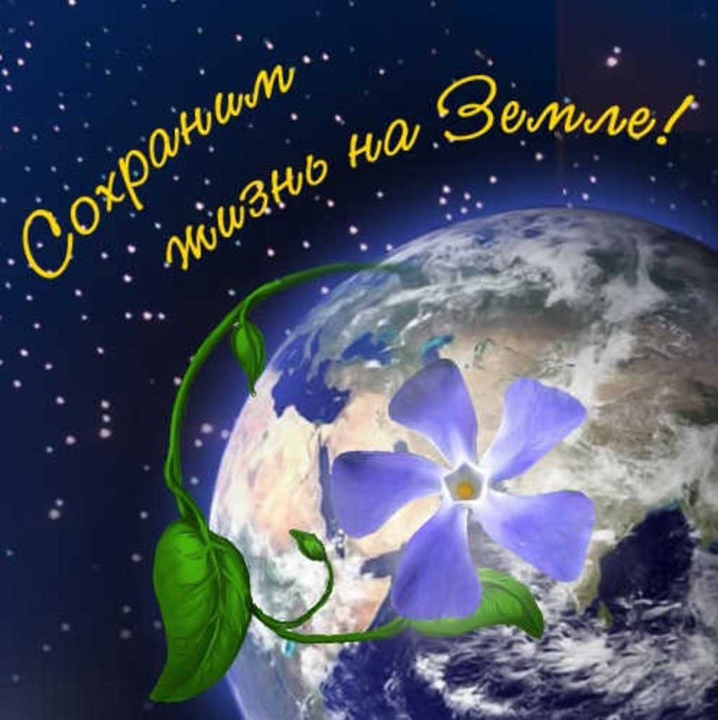 Поздравления и открытки на День Земли 9 открытки