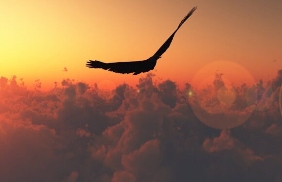 Мудрые открытки с днем рождения