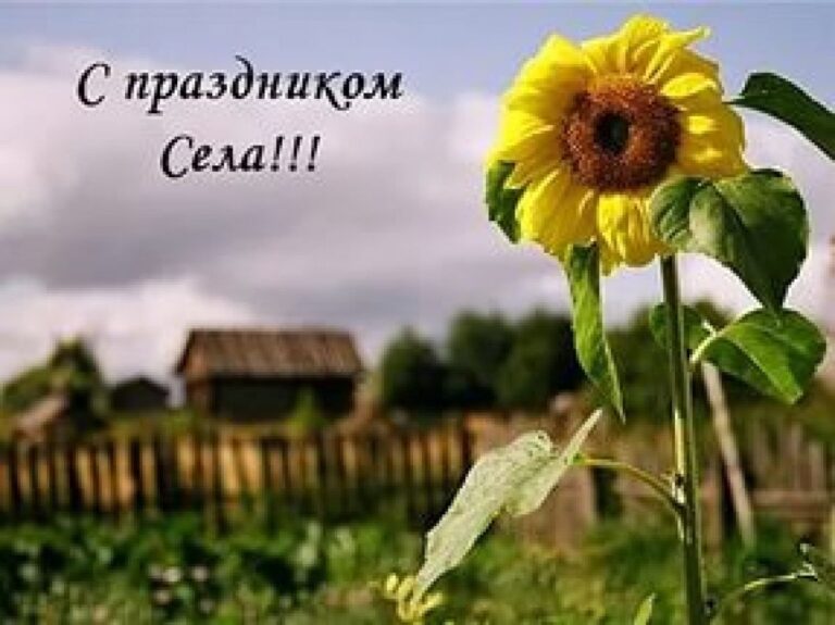 С днем деревни - прикольные открытки 43 открытки