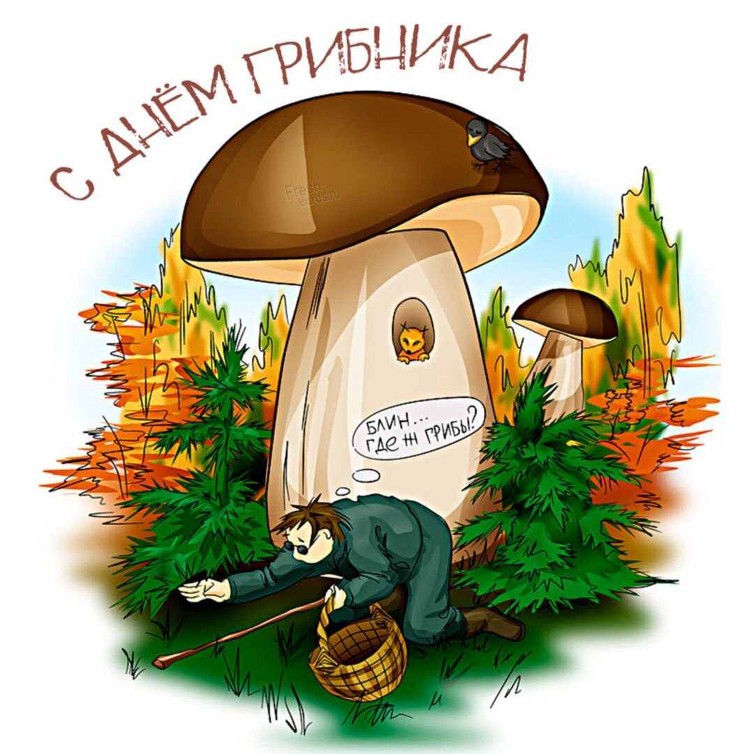Поздравления с днем грибника - открытки грибникам 21 открытки
