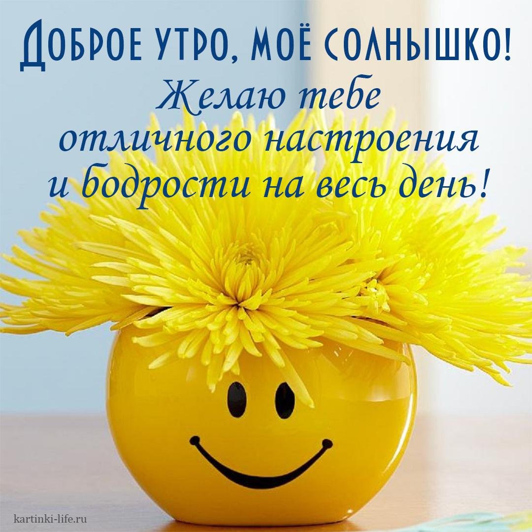 Доброе утро солнышко - прикольные открытки 6 открытки