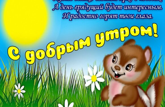 Доброе утро солнышко — прикольные открытки