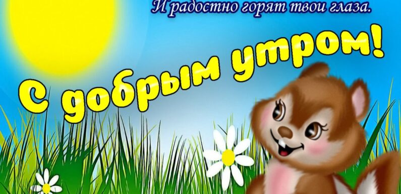 Доброе утро солнышко — прикольные открытки