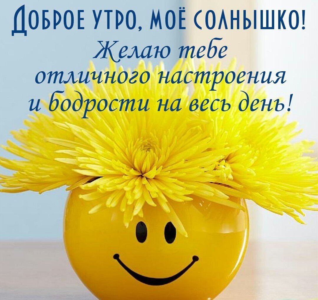 Доброе утро солнышко - прикольные открытки 5 открытки