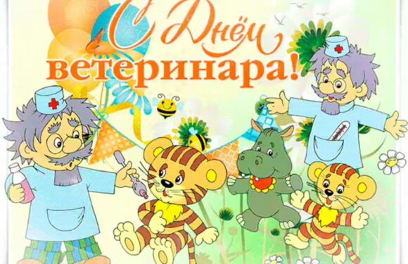 С днем ветеринарного врача — прикольные открытки
