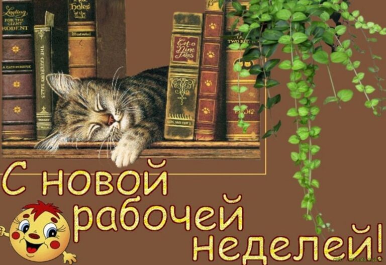 С началом рабочей недели - классные открытки 274 открытки