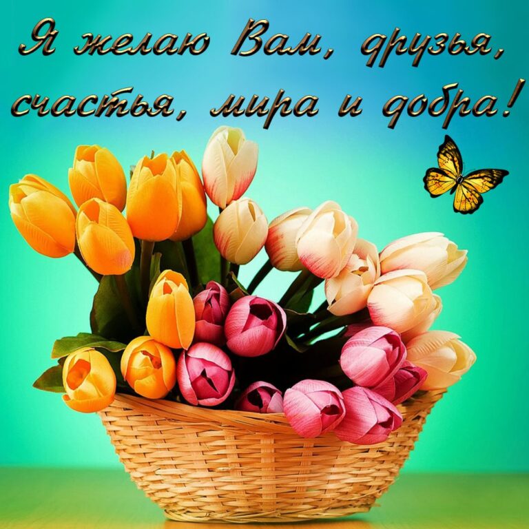 Добрые открытки - желаем мира и добра 43 открытки