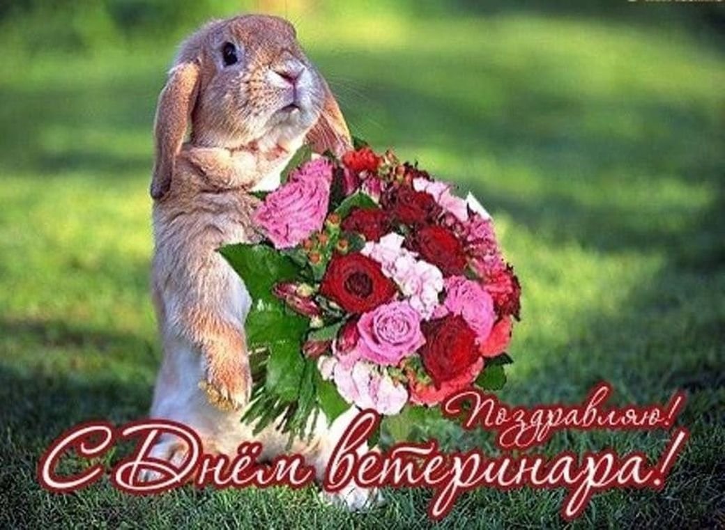 С днем ветеринарного работника - поздравления 2 открытки