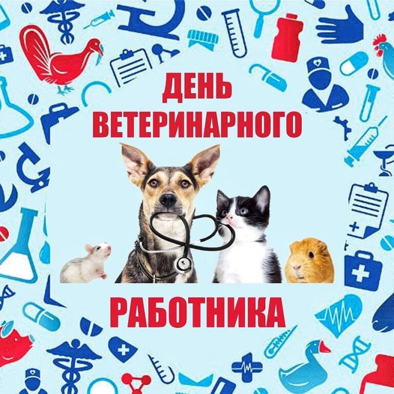 С днем ветеринарного работника - поздравления 127 открытки