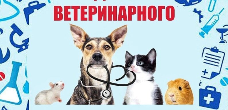 С днем ветеринарного работника — поздравления