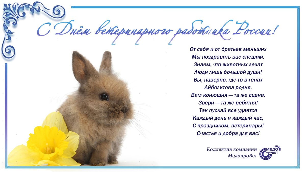 С днем ветеринарного работника - поздравления 5 открытки