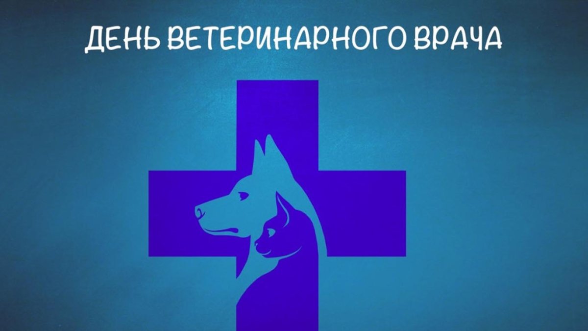 С днем ветеринарного работника - поздравления 14 открытки