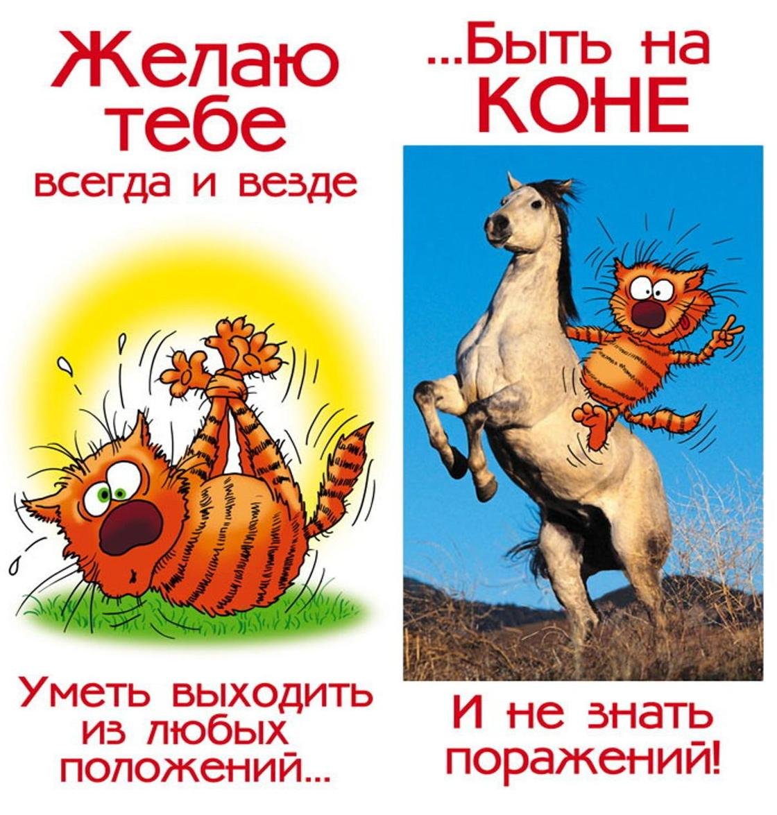 С днем рождения коллега - прикольные открытки 9 открытки