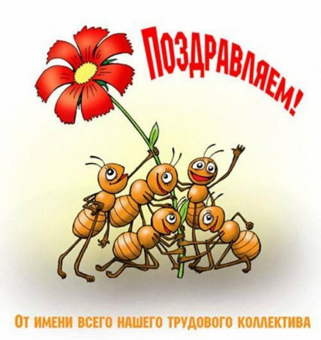 С днем рождения коллега - прикольные открытки 3 открытки
