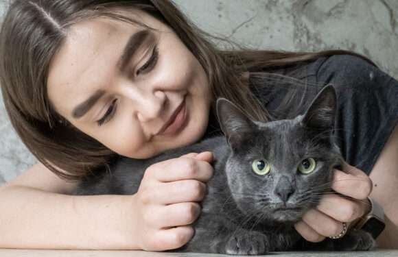 Кошки, с которыми подружатся даже аллергики