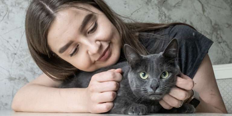 Кошки, с которыми подружатся даже аллергики 18 Мейн-кун