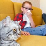 Аллергия на кошек у детей: симптомы и что делать 23 девушки в очках