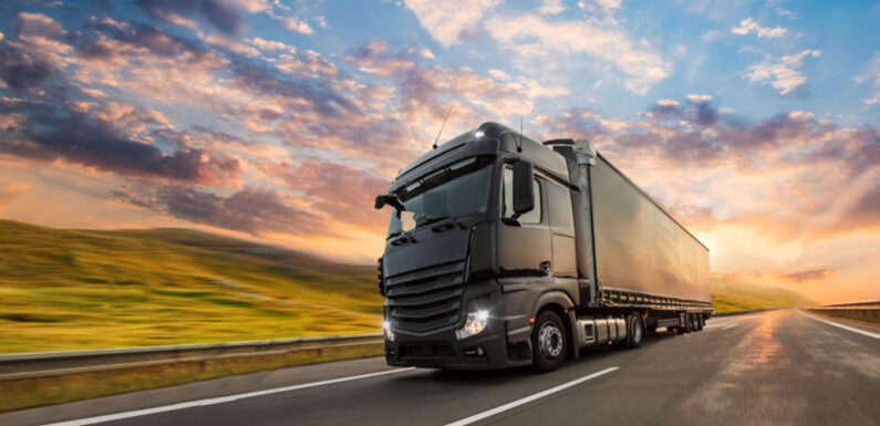 Транспортная компания: Как выбрать надежного партнера для перевозки грузов