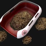 Экологический подход к уходу за домашними животными 6 факты