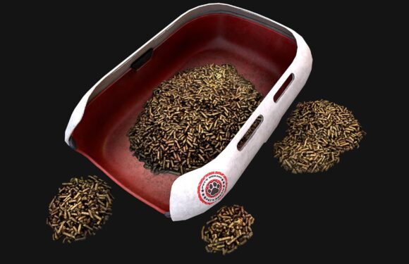 Экологический подход к уходу за домашними животными