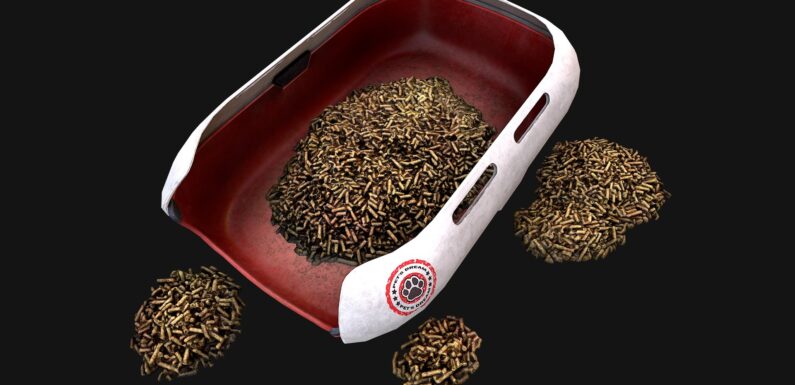 Экологический подход к уходу за домашними животными