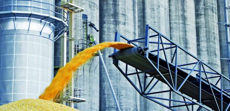 Лента элеватора — требования к прочности и износостойкости для агросектора