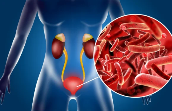 Белок в моче и соотношение белка к креатинину в моче