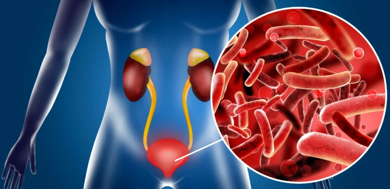 Белок в моче и соотношение белка к креатинину в моче
